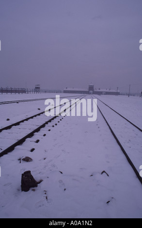 Dachau, Auschwitz, Polen Stockfoto