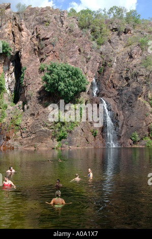 TjayneraFalls, Sandy Creek Falls im Litchfield National Park an der australischen Spitze, Northern Territory, Australien. Stockfoto