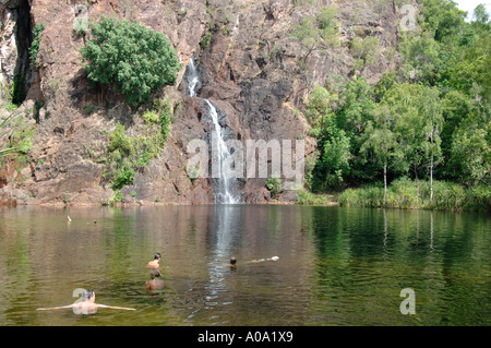 TjayneraFalls, Sandy Creek Falls im Litchfield National Park an der australischen Spitze, Northern Territory, Australien. Stockfoto