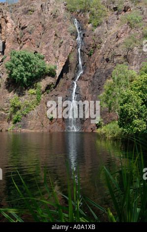 Tjaynera Falls, Sandy Creek Falls im Litchfield National Park an der australischen Top End, Northern Territory, Australien. Stockfoto