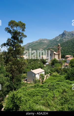 Blick auf den Ortskern und der Kirche in Feliceto, La Balagne, Korsika, Frankreich Stockfoto