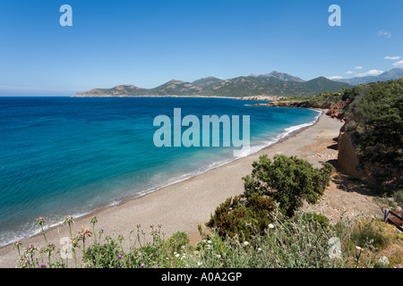 Strand in Galeria, in der Nähe von Calvi, La Balagne, Korsika, Frankreich Stockfoto