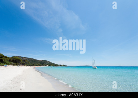 Palombaggia Strand in der Nähe von Porto-Vecchio, Corse-du-Sud, Korsika, Frankreich Stockfoto