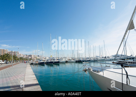 Strandpromenade und Marina in der Wintersaison, Palma, Mallorca, Balearen, Spanien Stockfoto