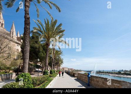 Promenade entlang der alten Stadtmauern vor Kathedrale und neben Parc De La Mar, Palma, Mallorca, Balearen, Spanien Stockfoto