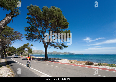 Radfahrer auf der Küstenstraße zwischen Puerto Pollensa und Alcudia, Nordküste, Mallorca, Balearen, Spanien Stockfoto