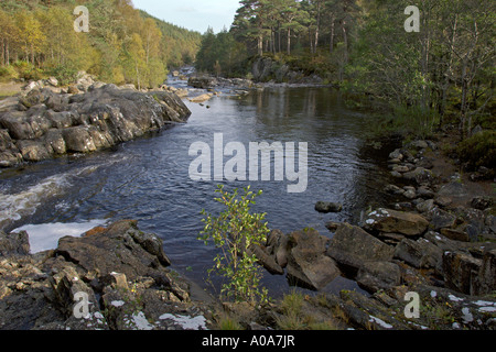 Hund fällt Fluss Affric Glen Affric herbstliche Farbtöne in der Nähe von Inverness, Schottisches Hochland Stockfoto