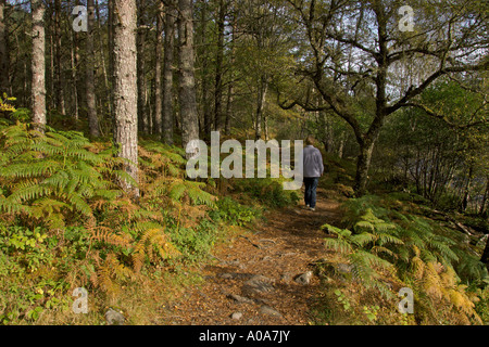 Wandern im Glen Affric in der Nähe von Hund fällt Fluss Affric herbstliche Farbtöne in der Nähe von Inverness, Schottisches Hochland Stockfoto