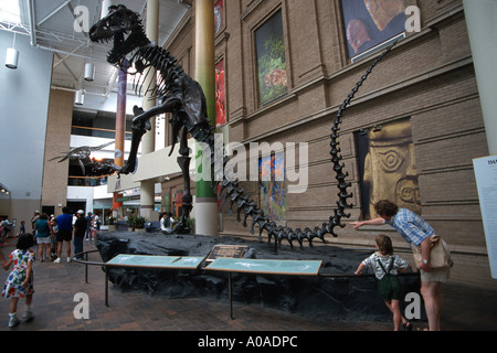 Denver Colorado Vater Kind Ansicht Tyrannosaurus Rex Dinosaurier Skelett Replica Museum Of Natural History Stockfoto