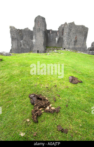 Carreg Cennen Schloss südöstlich von Llandelio Carmarthenshire South Wales Stockfoto