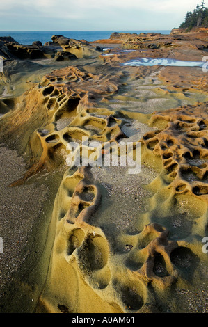 Felsformationen und Ocean Shore Acres Staatspark Oregon Stockfoto