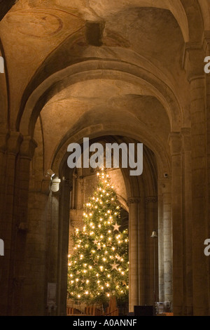 Ely Kathedrale Nacht Stockfoto