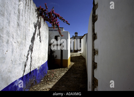 Farbfoto einer Bougainvillea, die über einer Wand und einer Gasse hängt, Obidos, Portugal, Europa Stockfoto
