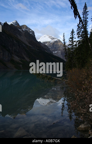 Mount Lefroy spiegelt sich in Lake Louise Canadian Rockies mit umgestürzten Baum September 2006 Stockfoto