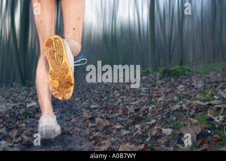 Frauenbeine auf Waldweg Stockfoto