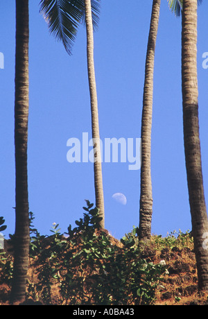 Half Moon in einem klaren blauen Himmel. Stockfoto