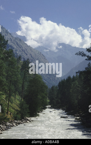 Ein kleiner Bach sprudeln durch den Himalaya Stockfoto