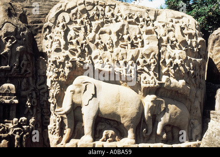 Rechten Hälfte des Reliefs. Die Lippen-Kiefer-Ghandarvas und die Tiere im Wald Abstieg des Ganges Mamallpuram Tamilnadu Indien Circa 600 Stockfoto