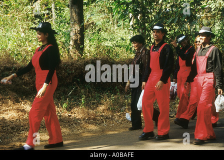 Eine Musikkapelle in Uniform. Goa, Indien. Stockfoto