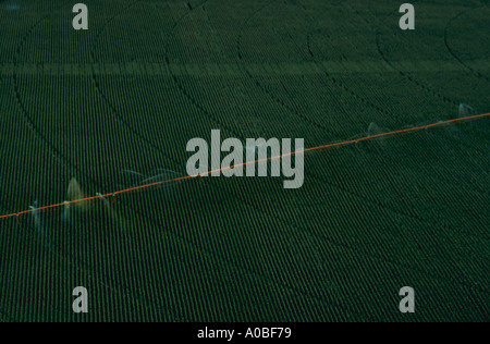 Mitte Drehpunkt Bewässerung von Mais in Nebraska BC29505 Stockfoto