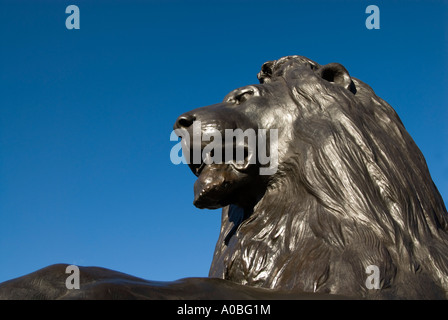 Löwe Skulptur von Sir Edwin Landseer in Trafalgar Square London England UK Stockfoto
