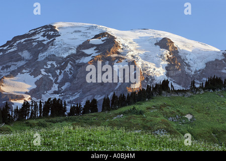 Mount Rainier über Edith Creek Wiese kurz nach Sonnenaufgang Mount Rainier National Park Pierce County, Washington USA Stockfoto