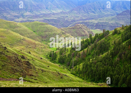 Buckhorn Ridge übersehen Hells Canyon National Scenic Area Oregon Stockfoto