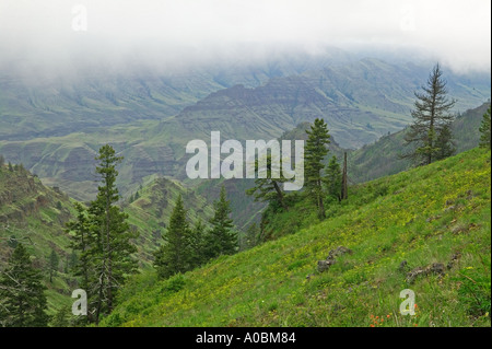 Buckhorn Ridge übersehen Hells Canyon National Scenic Area Oregon Stockfoto