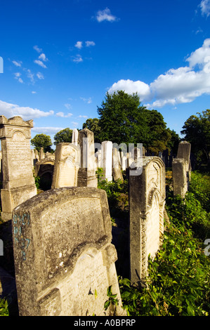 Europa-Rumänien Moldawien Iasi jüdischer Friedhof Stockfoto