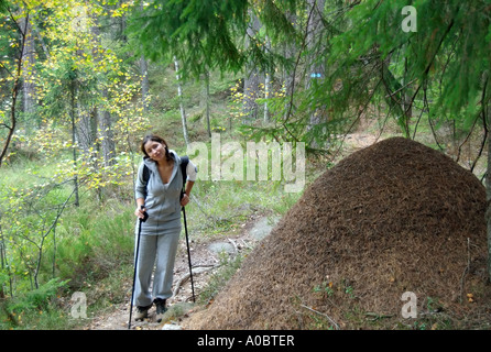 Eine junge Frau, die zu Fuß in den Wald stehen neben einem riesigen Waldameisen-Nest, Kopf hoch Stockfoto