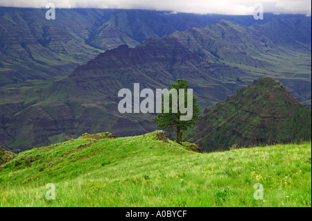 Buckhorn Ridge übersehen Hells Canyon National Scenic Area Oregon Stockfoto