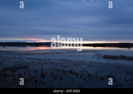 Bosque del Apache - New Mexico - USA Sonnenaufgang über das Marschland Stockfoto