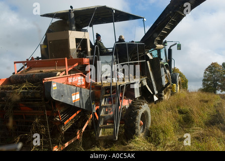 Stock Bild eines mechanischen Kartoffelroder und LKW benutzt, um Kartoffeln zu transportieren Stockfoto