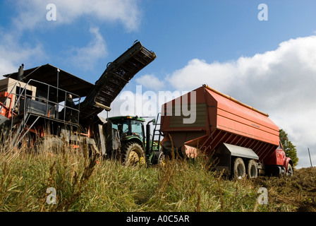 Stock Bild eines mechanischen Kartoffelroder und LKW benutzt, um Kartoffeln zu transportieren Stockfoto
