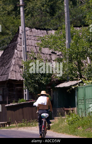 Europa-Rumänien-Maramures Dorf Szene während der Heuernte Stockfoto