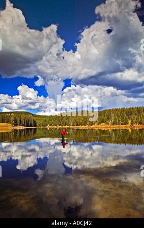 Fliegen Sie Fischer am Yellowstone River mit Reflexion und Wolken Yellowstone-Nationalpark, Wyoming Stockfoto