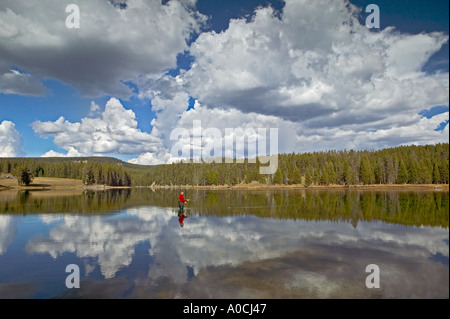 Fliegen Sie Fischer am Yellowstone River mit Reflexion und Wolken Yellowstone-Nationalpark, Wyoming Stockfoto