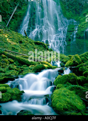 Lower Proxy Falls im Frühjahr drei Schwestern Wildnis Oregon Stockfoto