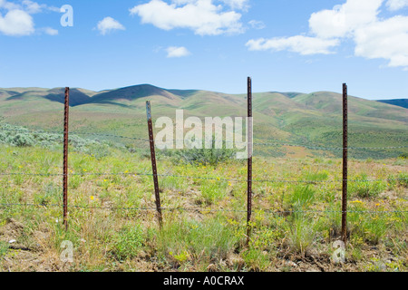 Zaun entlang hohe Wüste Berge an Frühlingstag Umptanum Ridge Eastern Washington USA Stockfoto