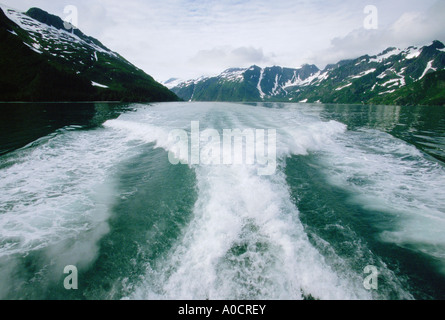 Großen Gefolge des Bootes im Wasser des Holgate Arm Fjord aus Kenai-Halbinsel Alaska USA Stockfoto