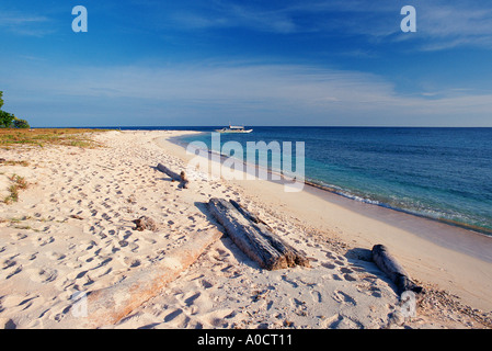 Ein Blick auf den Strand auf Apo Island Apo Reef Marine National Park Mindoro Philippinen Stockfoto