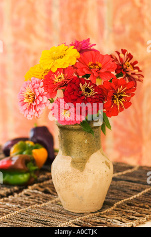 Eine Anordnung von Zinnien in Keramik auf einer Zweig-Matte. Stockfoto