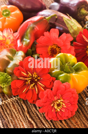 Zinnien und buntem Gemüse auf einem Zweig-Matte. Stockfoto