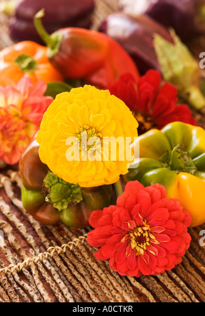 Zinnien und buntem Gemüse auf einem Zweig-Matte. Stockfoto