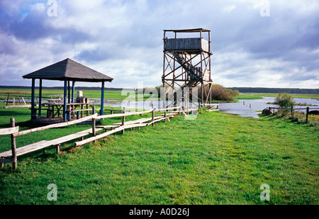 Biebrza-Fluss in Brzostowo Dorf Wachturm für Vogel-Spotter Stockfoto