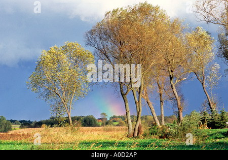 Biebrza-Fluss in Goniadz Stadt Regenbogen vor dem Sturm Stockfoto