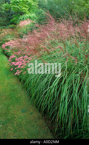 MISCANTHUS SINENSIS 'KLEIN SILBERSPINNE' IN DER LANGEN GRENZE BEI KNOLL GARDEN DORSET Stockfoto