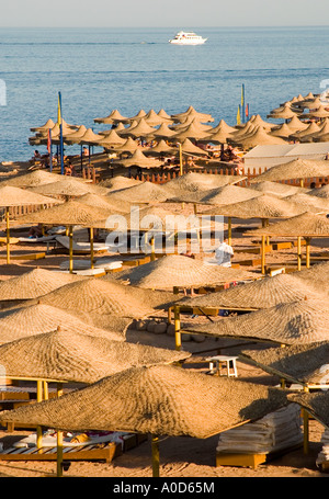 Strand-Szene mit Palmen und Sonnenliegen mit heißen Sand und blaues Meer Stockfoto