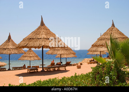 Strand-Szene mit Palmen und Sonnenliegen mit heißen Sand und blaues Meer Stockfoto