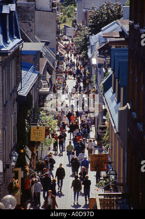 Geschäfte und Restaurants entlang der Rue du Petit Champlain unter Altstadt südlich Quebec City Quebec Kanada Stockfoto